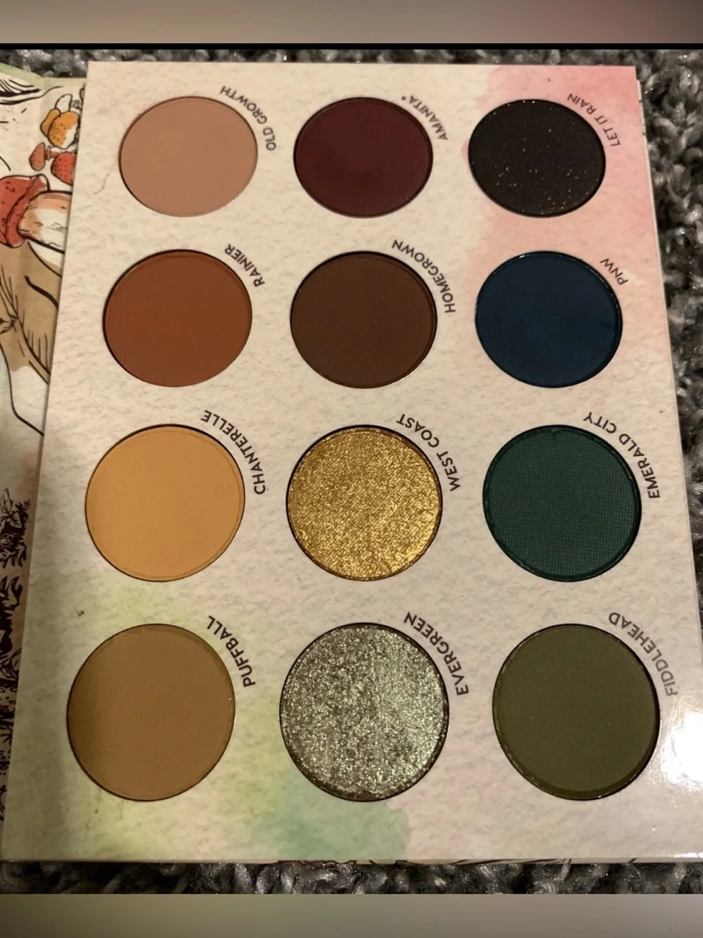 ColourPop Raw Beauty Kristi At Forest Sight eyeshadow palette Limited Edition